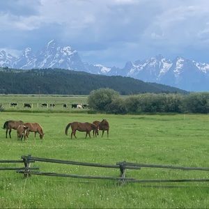 Meet your Posher, Posh